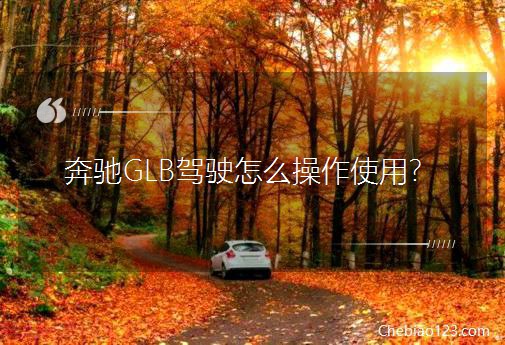 ���YGLB�{���ô����ʹ�ã�