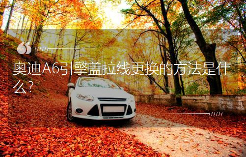 �W��A6�����w�������Q�ķ�����ʲô��