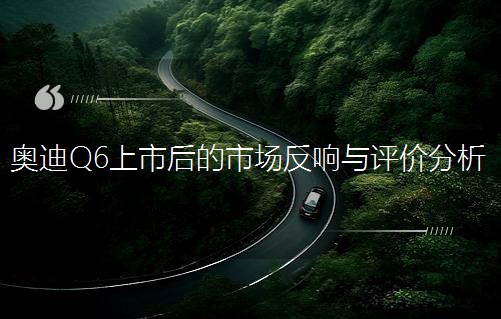 奧迪Q6上市后的市場反響與評價分析 奧迪Q6上市后的市場反響與評價分析