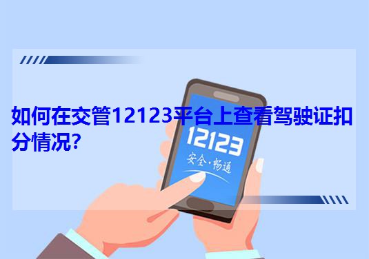 ����ڽ���12123ƽ�_(t��i)�ϲ鿴�{��C�۷���r��